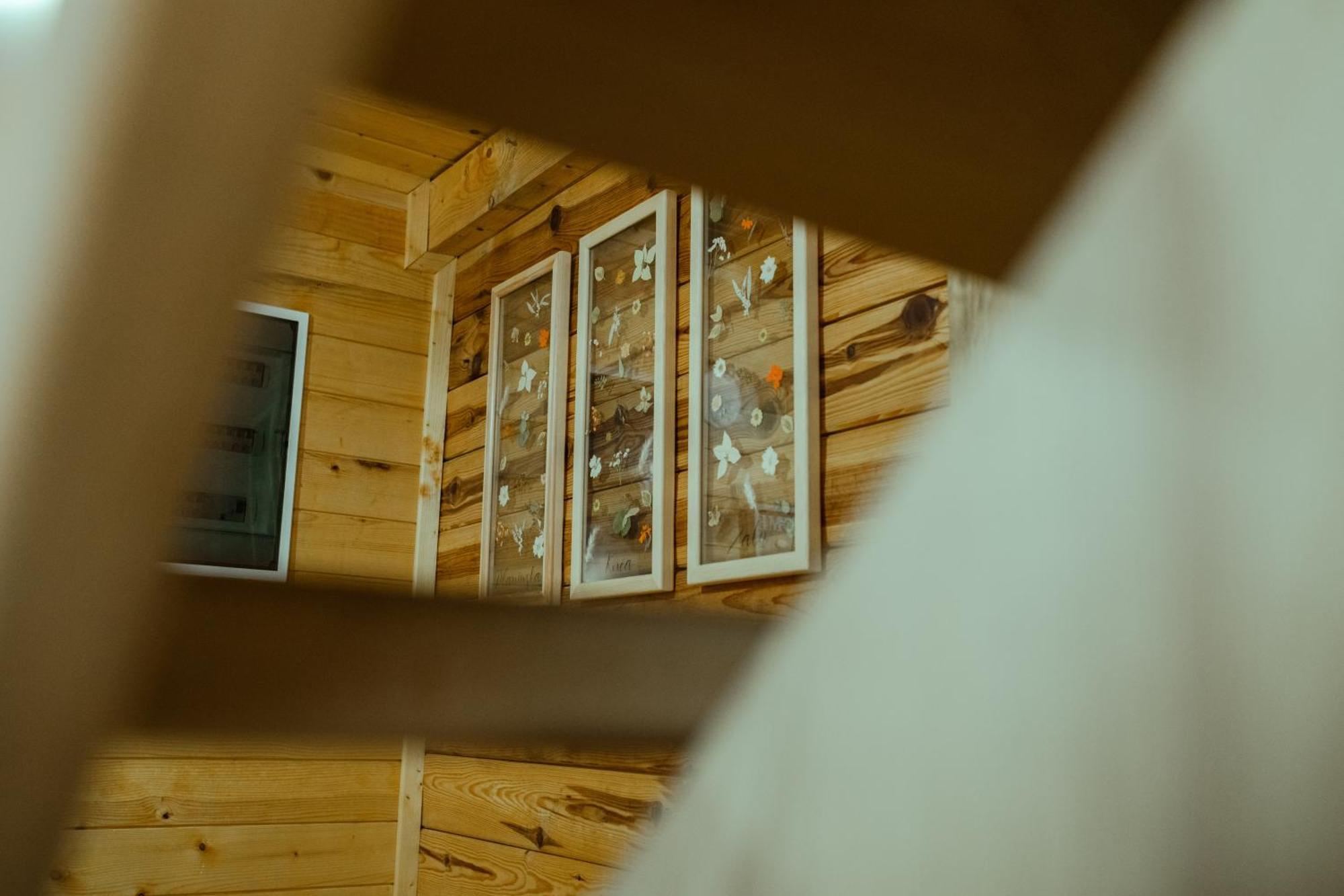la Villa Planinska Kuca Zaliv Zaovine Esterno foto